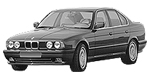BMW E34 B2520 Fault Code